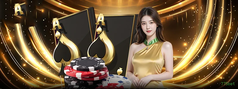 Cassino 775bet app mobile